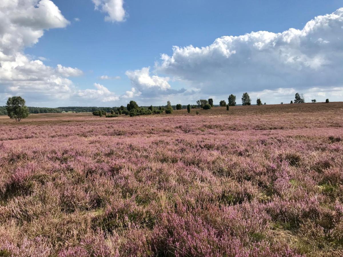 Zum Bothmerschen Krug Schwarmstedt Exteriér fotografie